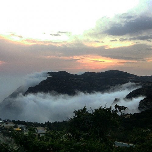 ������� ����� ����� ������ ����� sabq/2024-08-31/